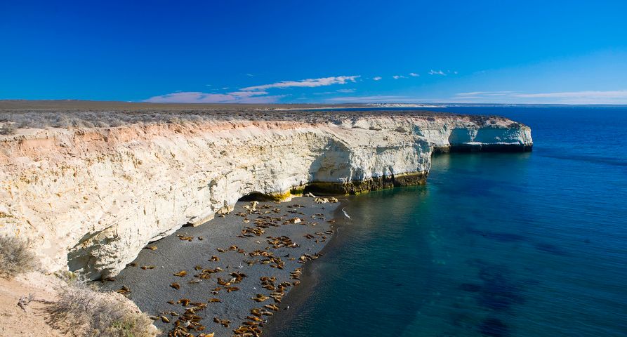 Puerto Madryn: Ballenas y Luna llena