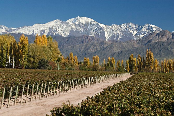 Mendoza – Fiesta de la Vendimia 2026