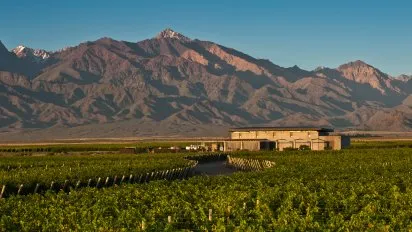 mendoza-bodegas-apertura-the-vines-of-mendozajpg
