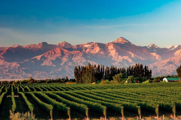 turismo-mendoza-2-web
