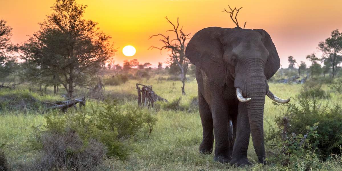 Sudafrica, Cataratas Victoria y Botswana
