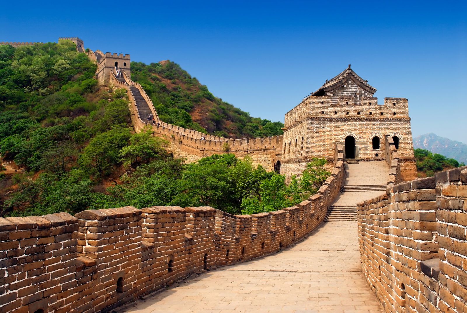 China – Con Osos panda y Avatar