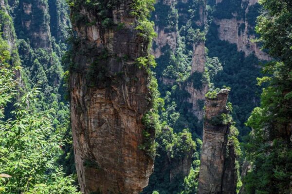 just-came-back-from-zhangjiajie-china-it-felt-like-walking-v0-llzf7bo158tf1